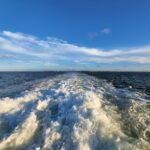 Boat wake in a blue ocean heading away from land.