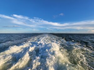 Boat wake in a blue ocean heading away from land.